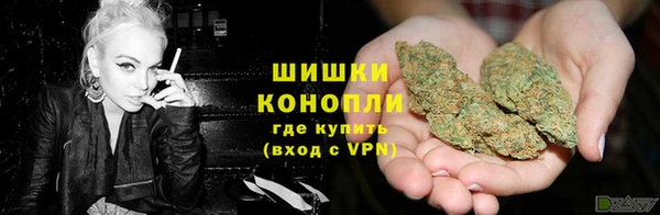PSILOCYBIN Магас