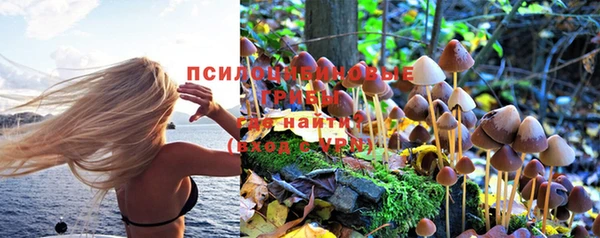 трава Магадан
