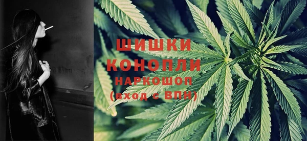 PSILOCYBIN Магас