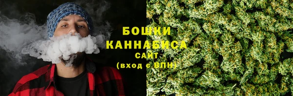 PSILOCYBIN Магас