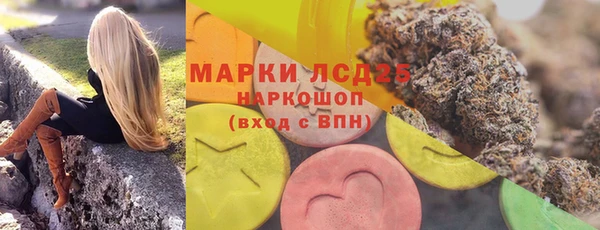 PSILOCYBIN Магас