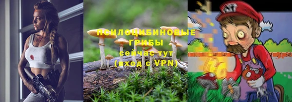 PSILOCYBIN Магас